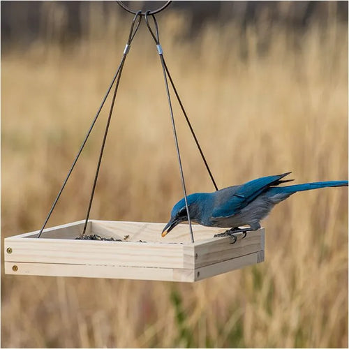 Perky-Pet® Hanging Tray Bird Feeder