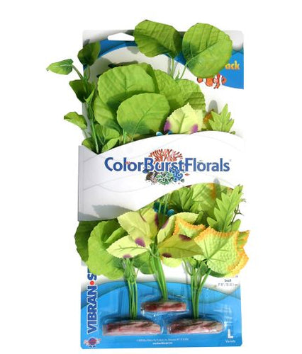 Blue Ribbon Vibran-Sea Color Burst Florals Broad Leaf Flowering Cluster Variety Pack