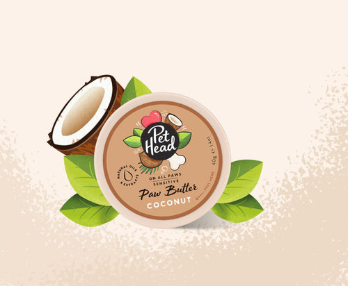 Pet Head Coconut Paw Butter for Dogs