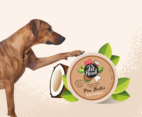 Pet Head Coconut Paw Butter for Dogs