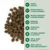 Kent Blue Seal EnTrust® Healthy Adult Lamb Meal & Rice Recipe