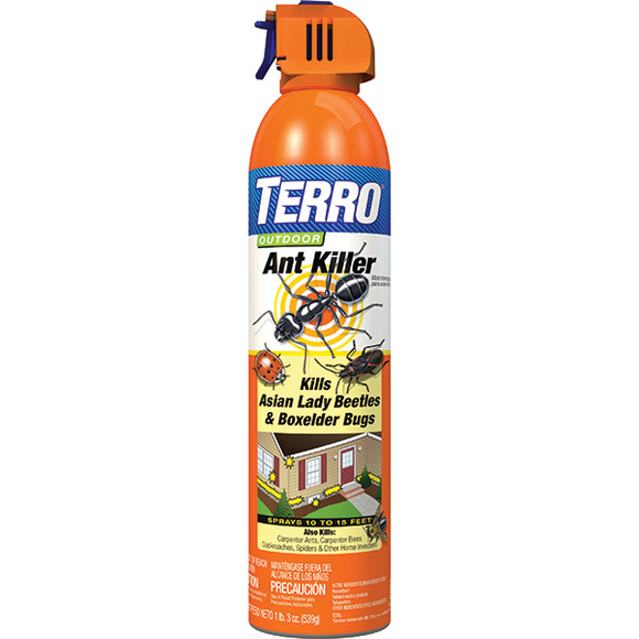 TERRO ANT KILLER OUTDOOR AEROSOL SPRAY