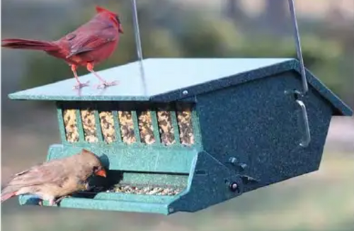 Audubon Original Bird’s Delight Squirrel-Resistant Feeder