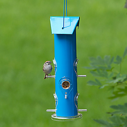 Perky-Pet® Blue Metal Tube Bird Feeder - 1 lb Seed Capacity