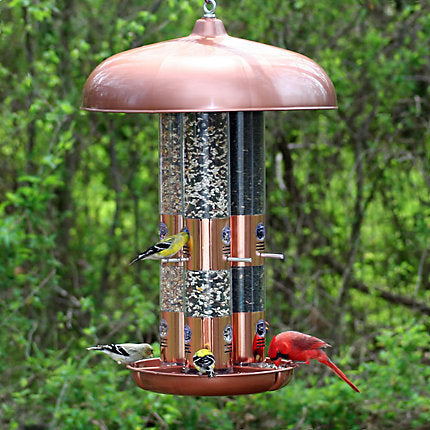 Perky-Pet® Copper Finish Triple Tube Bird Feeder - 10 lb Seed Capacity