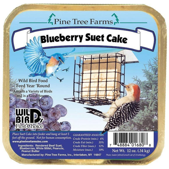 Pine Tree Farms Blueberry Suet Cake