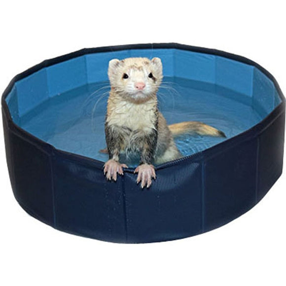 MARSHALL FERRET SWIMMING POOL