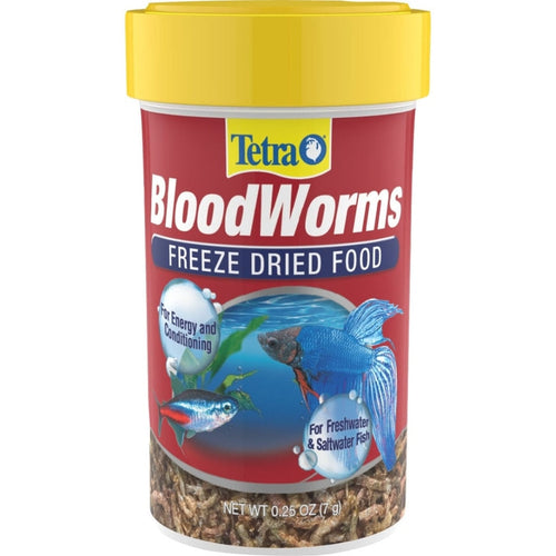 Feeding bloodworms best sale