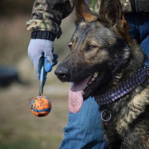 Chuckit! Ultra Tug Dog Toy